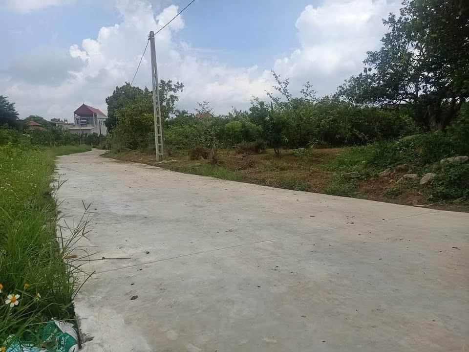 Đất vườn Trại Mật, Tân Quang, Lục Ngạn 4100m² giá 1.6 tỷ - Cơ hội đầu tư hấp dẫn!