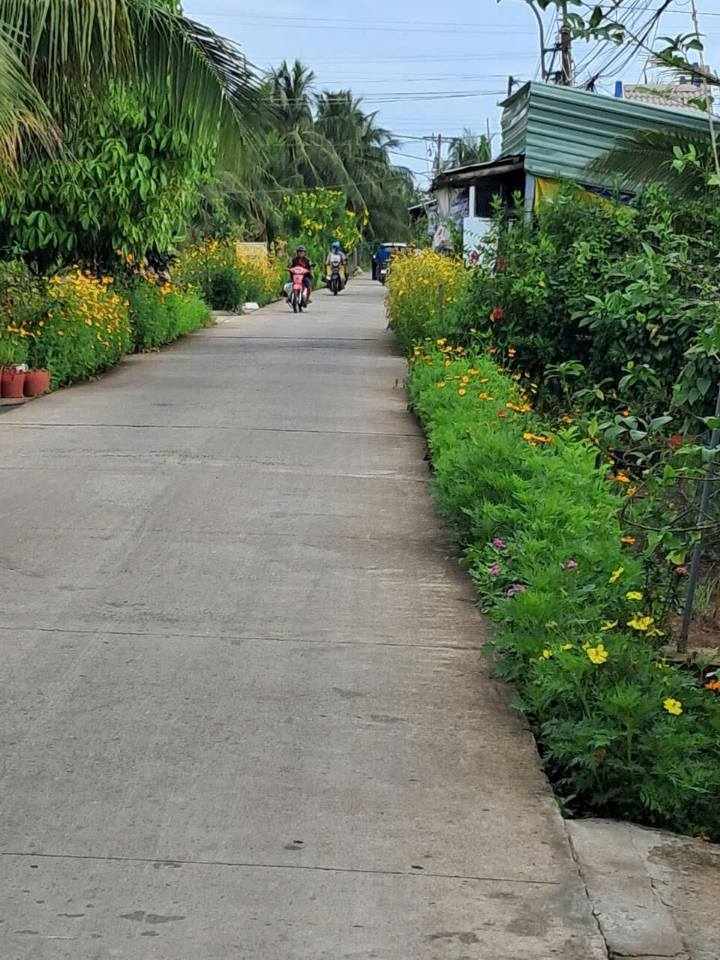 Đất nền mặt tiền Trần Thị Điểu, phường Trung An, 100m² giá 900 triệu - Đầu tư sinh lời ngay!