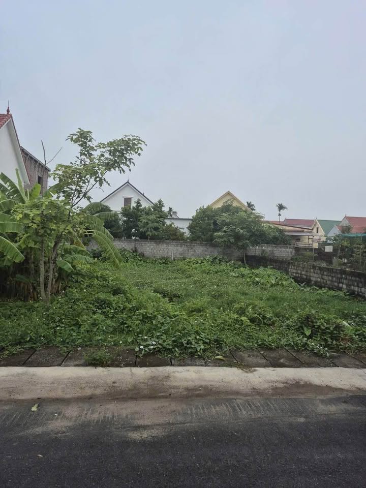 Đất nền Đoàn Xá - Kiến Thụy 99m² giá 2 tỷ - Tiềm năng phát triển cao!