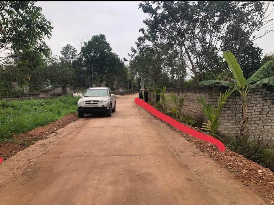 Đất nền Tân Hiệp Yên Thế 170m² giá chỉ 3xx triệu - Đầu tư sinh lời ngay!