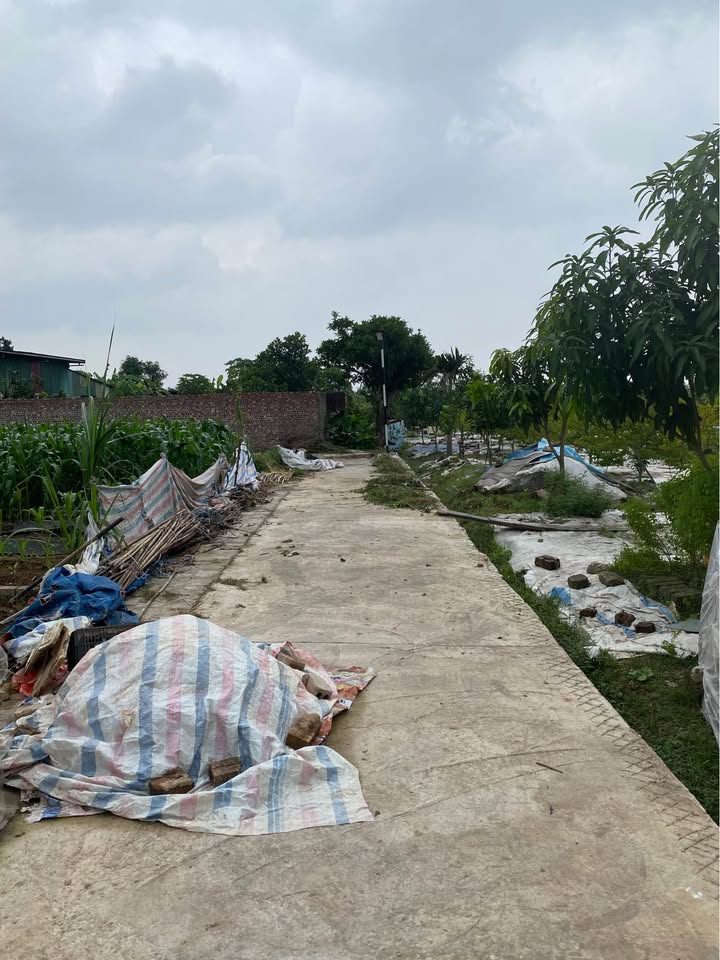 Đất thổ cư Hai Vân - Nam Sơn - 61m² giá 1.3 tỷ - Đầu tư sinh lời ngay!