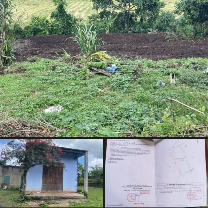 Đất thổ cư 400m² tại xã Ea Đrông, Buôn Hồ - Giá chỉ 899 triệu!