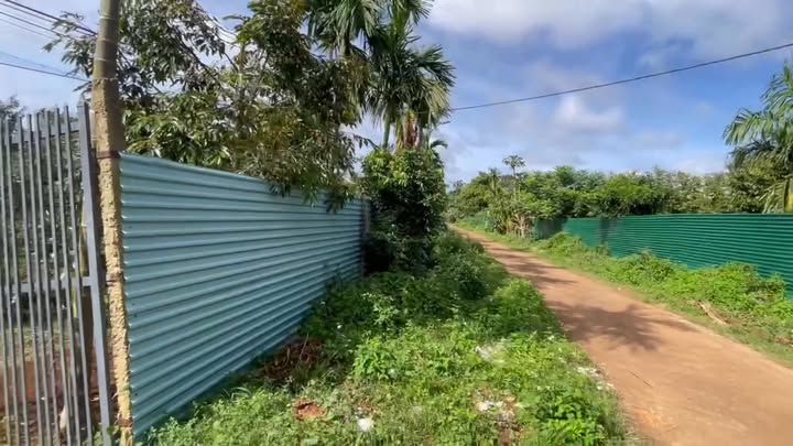 Đất thổ cư 3,5 sào tại xã Tân Lập, Krông Búk - Giá chỉ 2,65 tỷ, đầu tư sinh lời!