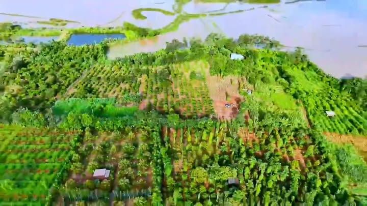 Đất thổ cư xã Ea Ning, huyện Cư Kuin 856m² giá 390 triệu - Cơ hội đầu tư hấp dẫn!