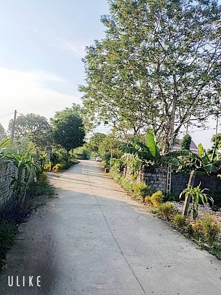 Đất nền Yên Sơn Tuyên Quang 145m² giá chỉ 7xx triệu - Đối diện trường học, tiện ích đầy đủ!