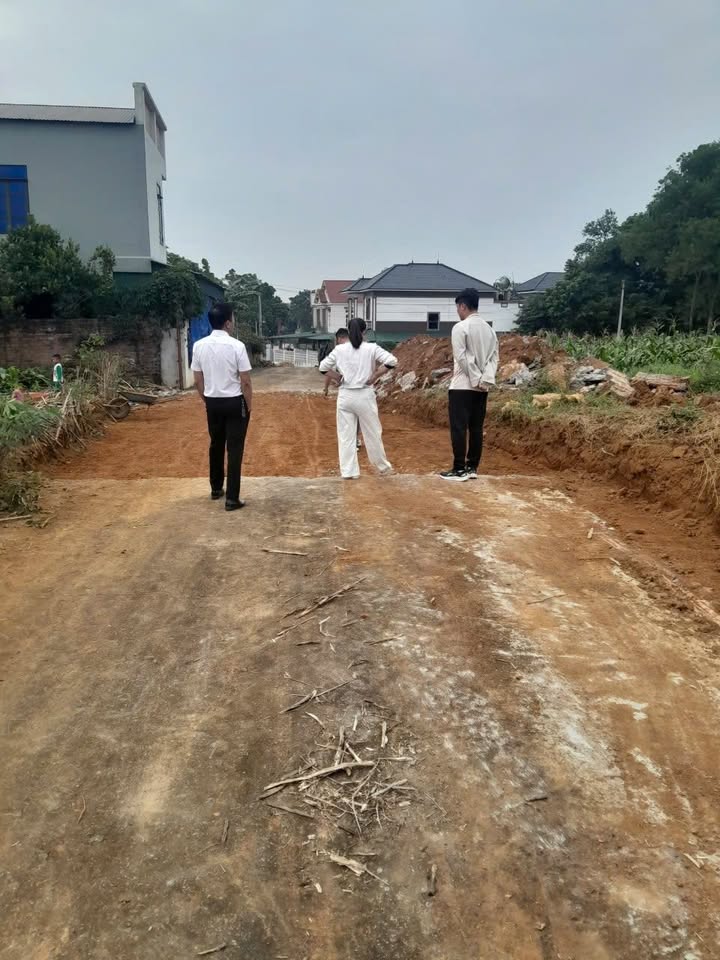 Đất nền Hy Cương, Việt Trì 116m² giá 1.2 tỷ - Cơ hội đầu tư tuyệt vời!