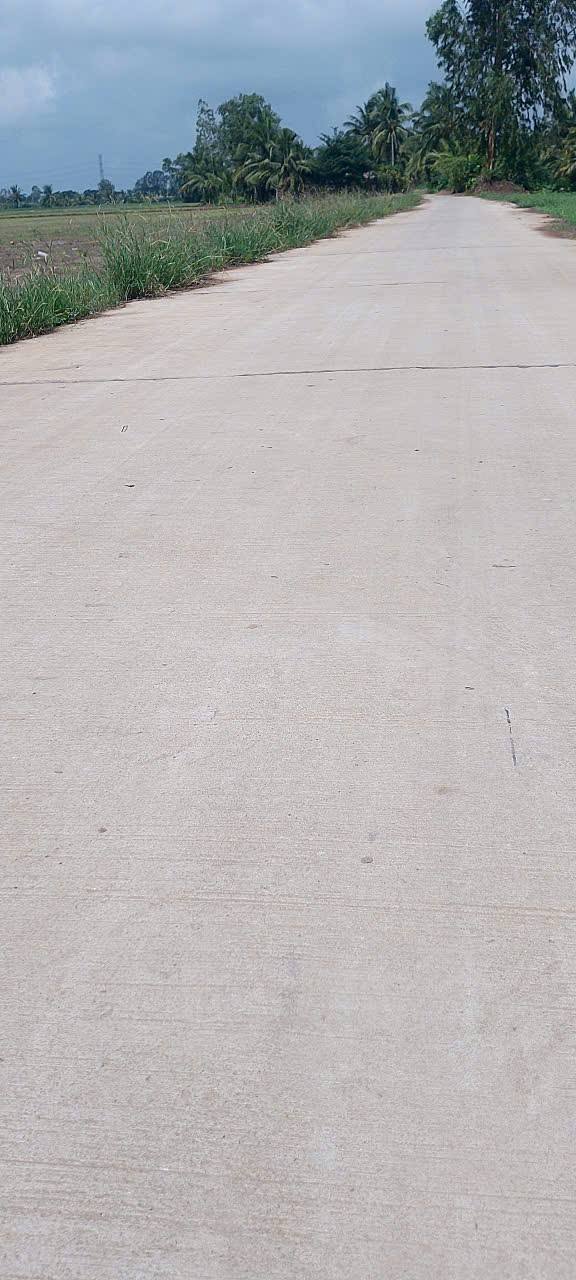 Đất nền Trần Đề, Sóc Trăng 1000m² giá 552 triệu - Tiếp giáp lộ bê tông ô tô