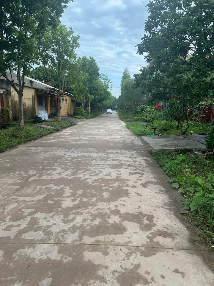 Đất nền Vôi, Lạng Giang 90m² giá chỉ 1.6 tỷ - Diện tích rộng rãi, ô tô tránh nhau!