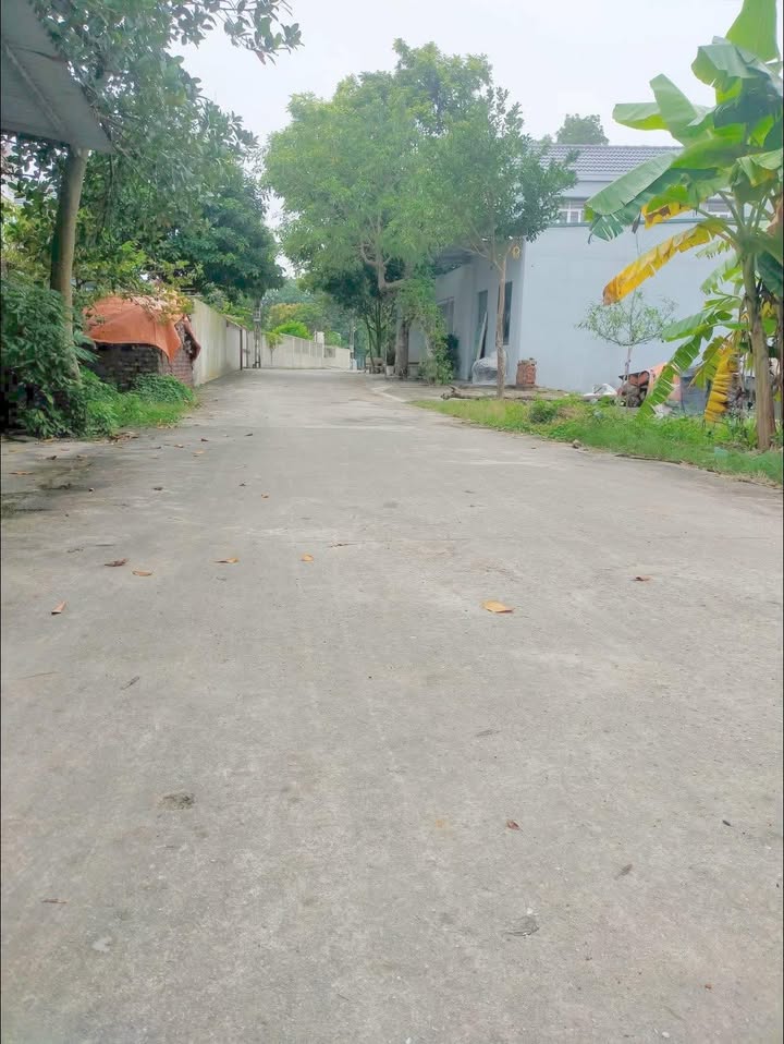 Đất thổ cư Dinh Hương - TT Thắng 100m² giá 1.4 tỷ - Cơ hội hiếm có!