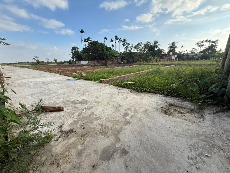 Đất thổ cư Vĩnh Bảo 111m² - Đầu tư sinh lời, vị trí đắc địa!