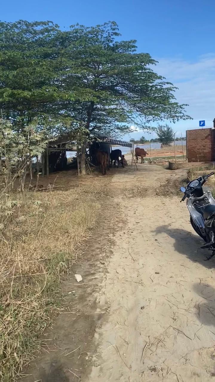 Đất ven sông Duy Vinh 168m² giá thỏa thuận - Cơ hội đầu tư hấp dẫn!