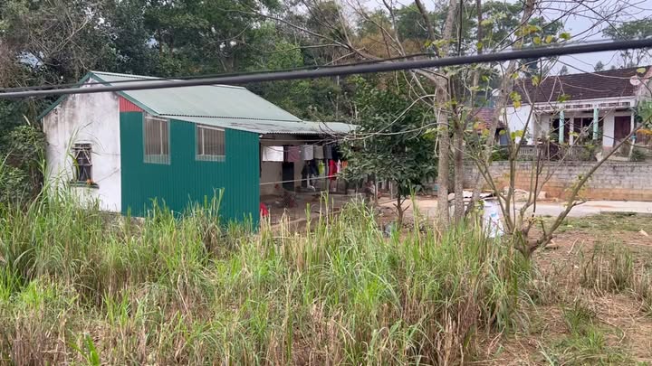 Đất nền 1000m² xã Tu Vũ, Thanh Thủy - Cơ hội đầu tư sinh lời hấp dẫn!