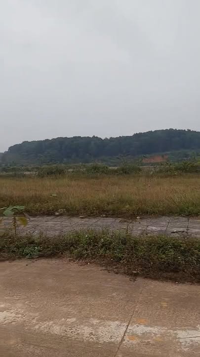 Đất nền Phú Hà 200m² giá tốt - Chính chủ bán gấp!