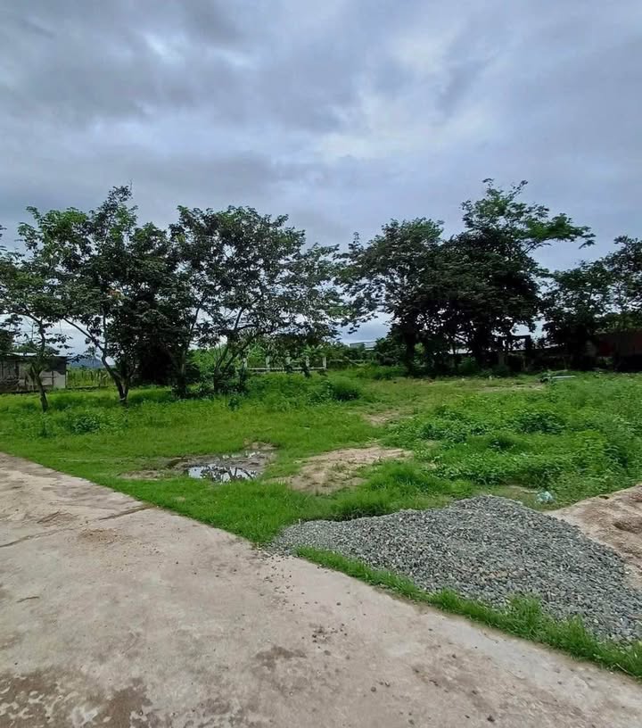 Đất nền Suối Tiên - Diên Khánh 493m² giá chỉ 1.972 tỷ - Đầu tư sinh lời ngay!