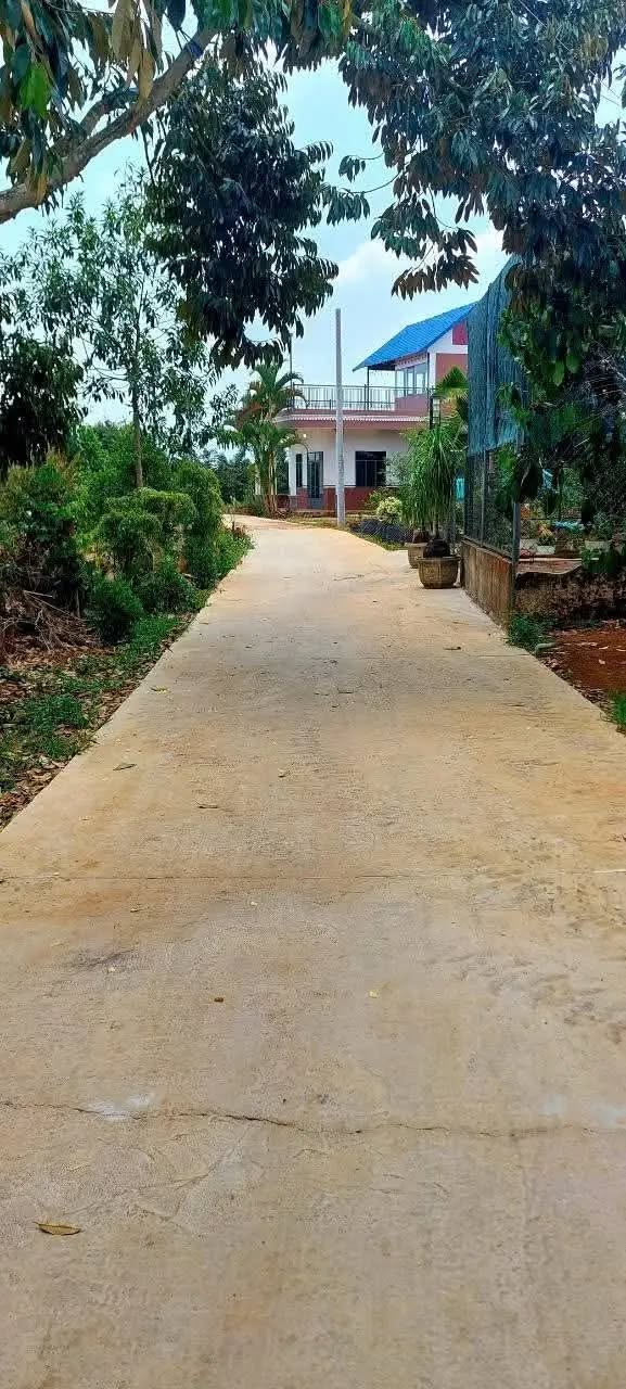 Đất thổ cư 1577m² Tân Lạc, Bảo Lâm - Giá chỉ 1.6 tỷ, cơ hội đầu tư tuyệt vời!