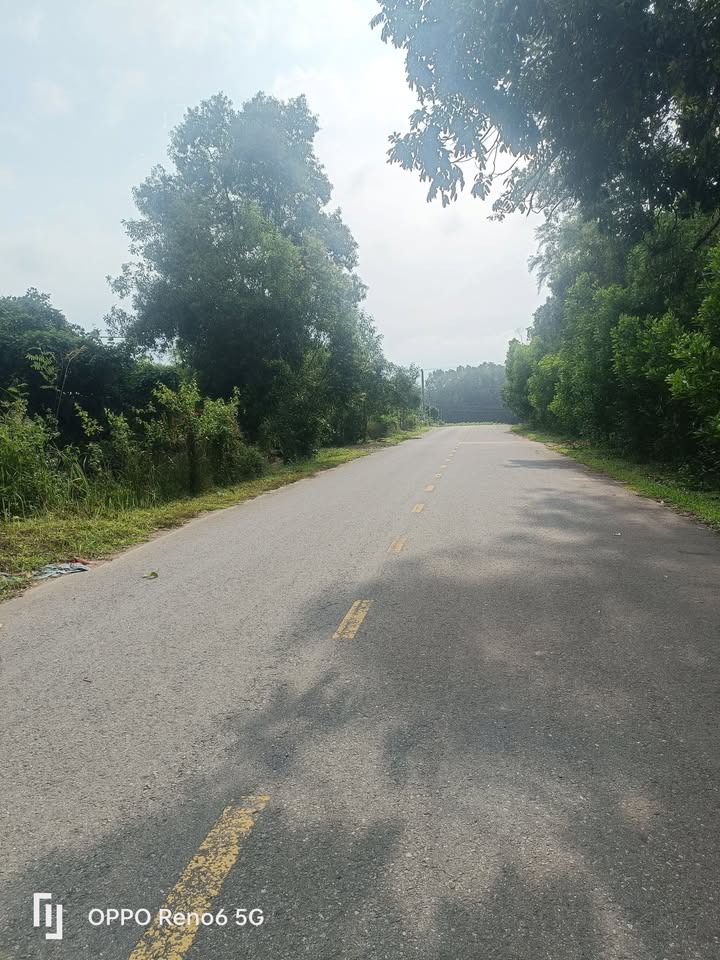 Đất nền mặt tiền đường Hồ Chí Minh, xã Bến Quan, 2000m² - Giá chỉ 910 triệu