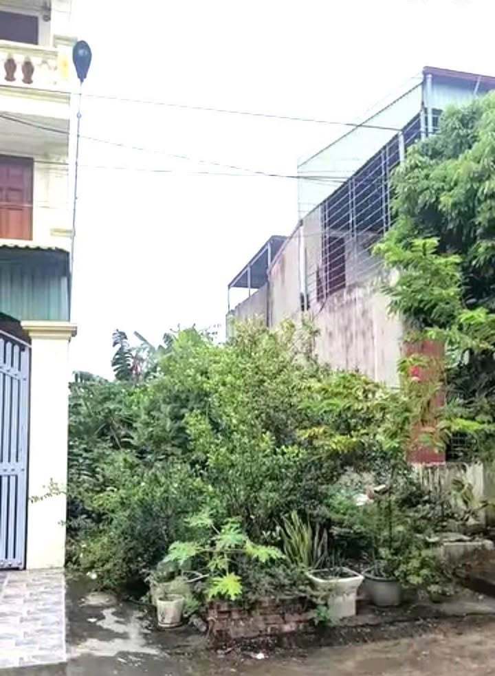 Lô đất 97,5m² tại khu chung cư Cách Hạ, Nam Sơn - Giá chỉ 3,5 tỷ thương lượng!