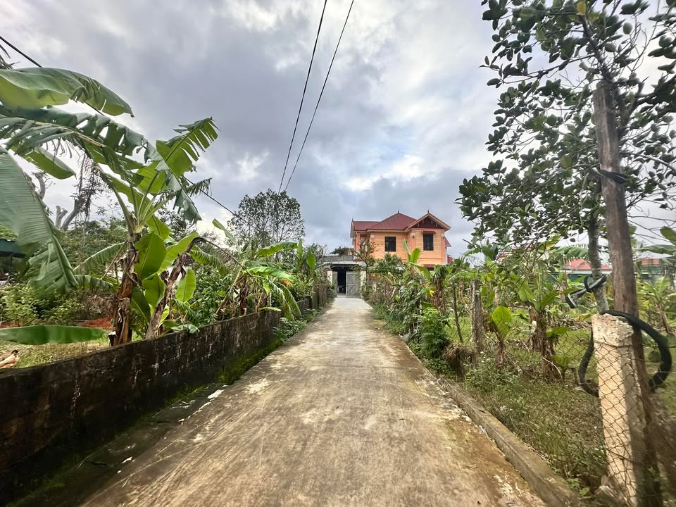 Đất tặng nhà 2 tầng tại Xã Nam Anh, 400m² chỉ 2 tỷ - Cơ hội vàng không thể bỏ lỡ!