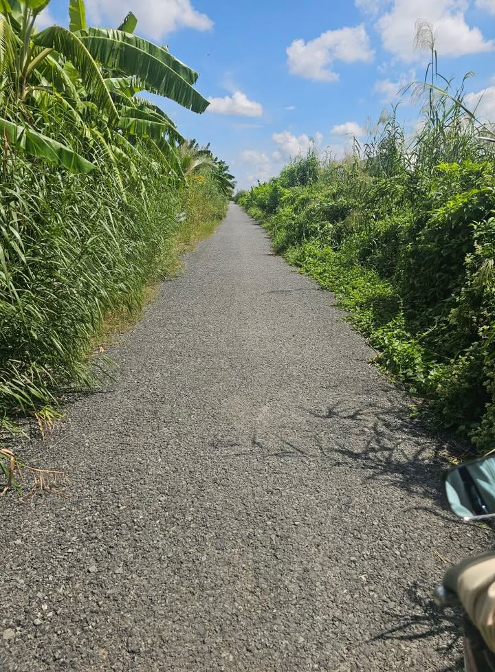 Đất mặt tiền Ấp Phú Hoà, Cai Lậy 2385m² giá 6.4 tỷ - Cơ hội đầu tư tuyệt vời!