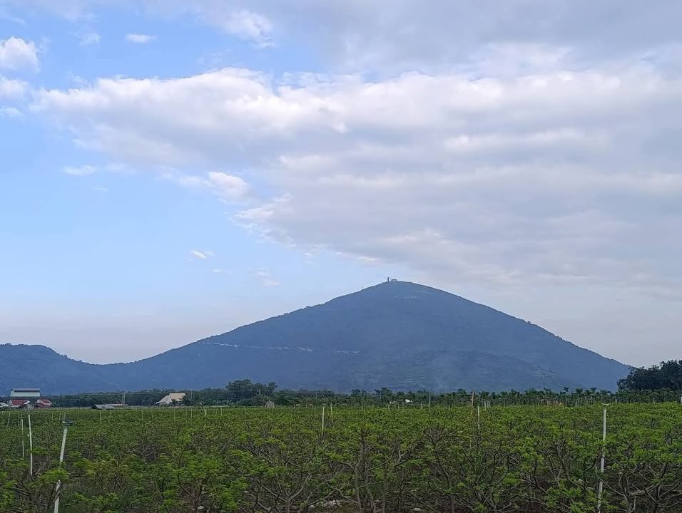 Đất nền Tân Phước, Bình Minh 125m² giá chỉ 187.5 triệu - View núi tuyệt đẹp!