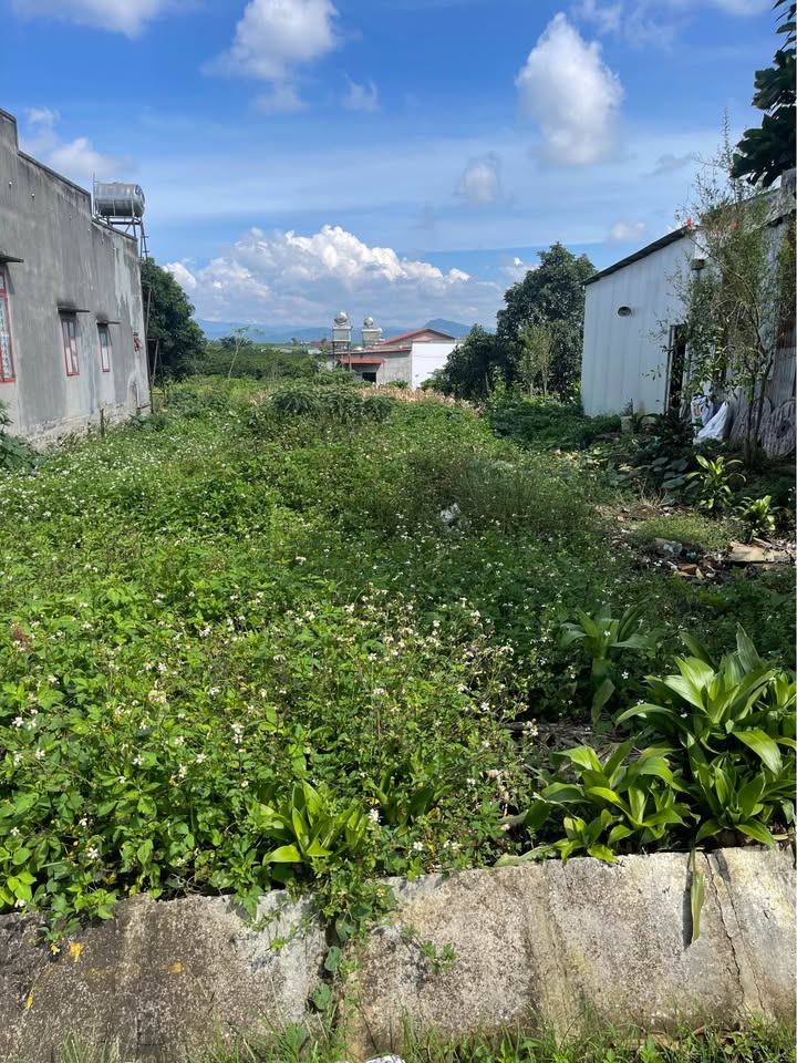 Đất Tân Hội Đức Trọng 65520m² giá chỉ 2.6 tỷ - Cơ hội đầu tư tuyệt vời!