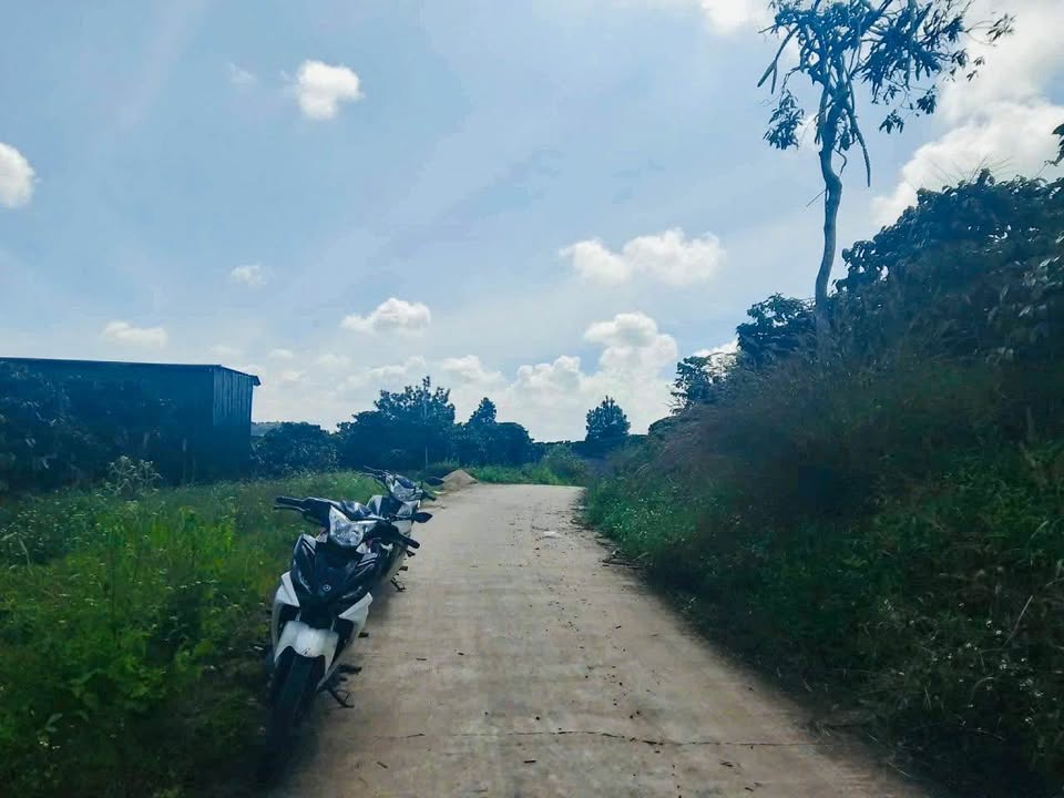 Đất thổ cư Tân Văn Lâm Hà 1300m² giá 1 tỷ - Cơ hội đầu tư tuyệt vời!