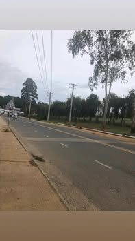 Đất mặt tiền Mai Anh Đào, Đà Lạt 1.046m² giá 120 tỷ - Cơ hội đầu tư sinh lời cao!