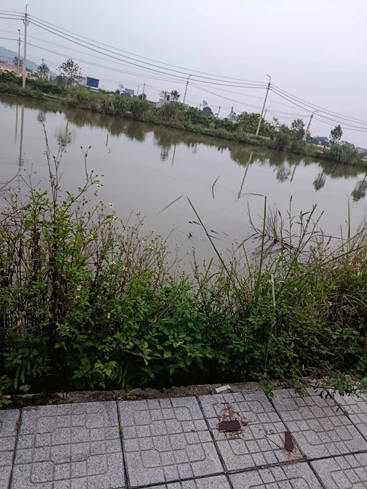 Đất nền đẹp Đông Thịnh 125m² giá 1.6 tỷ - Cơ hội vàng cho nhà đầu tư!