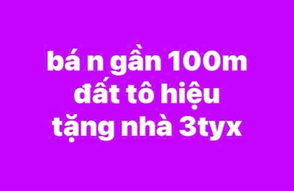 Đất nền Tô Hiệu, Tân Phú 100m² giá 3 tỷ - Cơ hội đầu tư tuyệt vời!