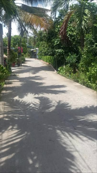 Đất nền Phong Hòa, Lai Vung 300m² chỉ 650 triệu - Đường ô tô vào tận nơi!