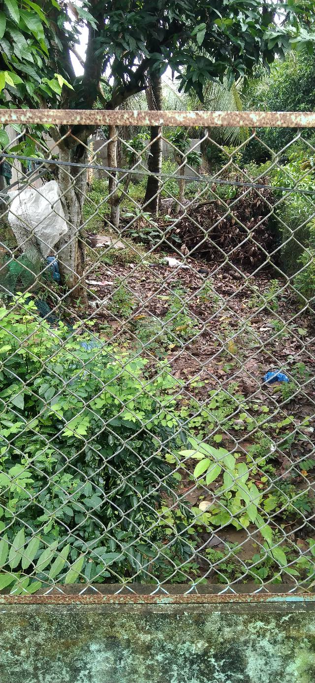 Đất nền 106m² ấp 1, xã Mỹ Tân, giá 700 triệu - Tiềm năng đầu tư cao!