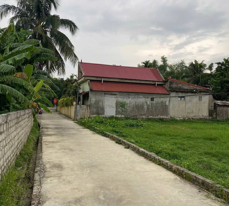 Đất nền Quảng Hợp 148.5m² giá chỉ 400 triệu - Cơ hội đầu tư tuyệt vời!