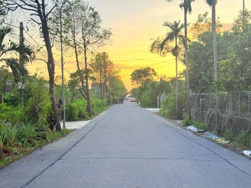 Đất nền Cẩm Bình 239m² giá 1 tỷ - Đầu tư sinh lời ngay!