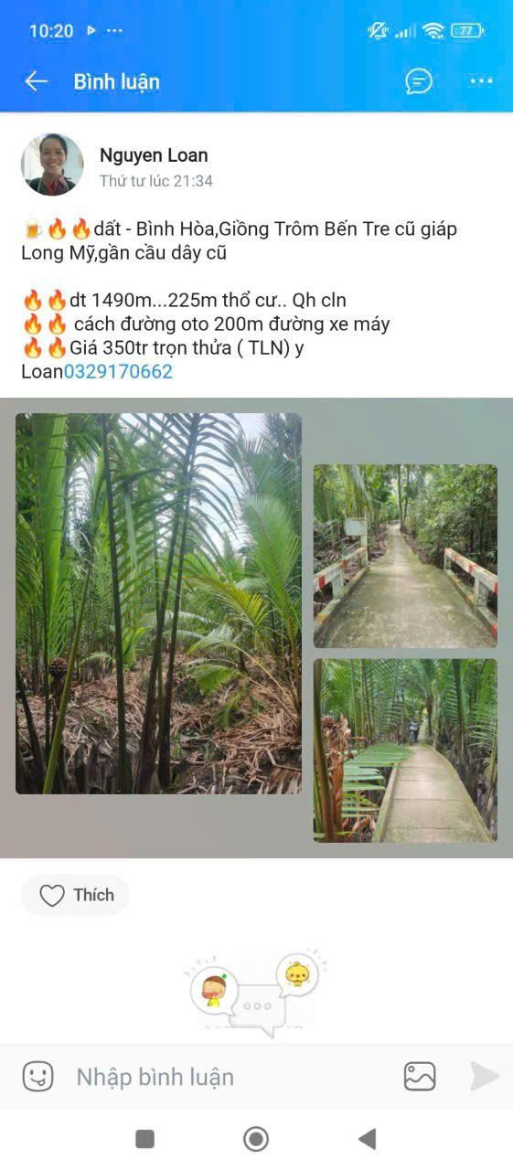 Đất vườn dừa Bình Hòa Giồng Trôm 1500m² giá 350 triệu - Đầu tư sinh lời!