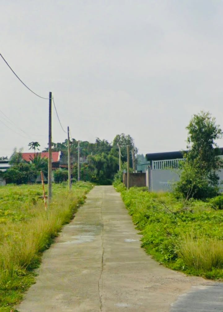 Đất nền Phước Hòa, Phú Mỹ 200m² giá 1.55 tỷ - Đầu tư sinh lời ngay!