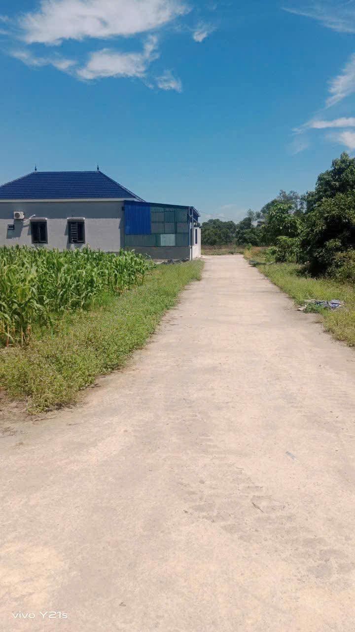 Đất nền Yên Hòa Cẩm Xuyên 160m² giá 300 triệu - Cơ hội đầu tư sinh lời!