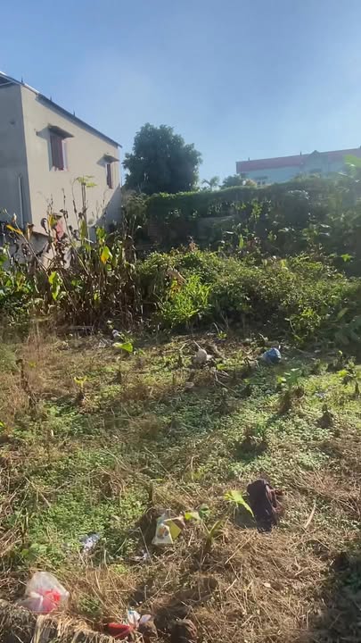 Đất nền 130m² tại Cao Thượng, Tân Yên - Giá chỉ 700 triệu, 2 mặt tiền!