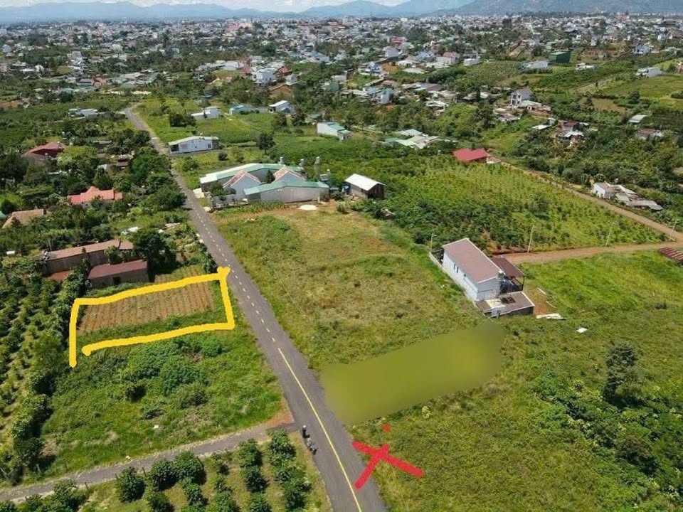 Đất mặt tiền đường Trần Tế Xương, Bảo Lộc 120m² giá 970 triệu - Cơ hội đầu tư tuyệt vời!