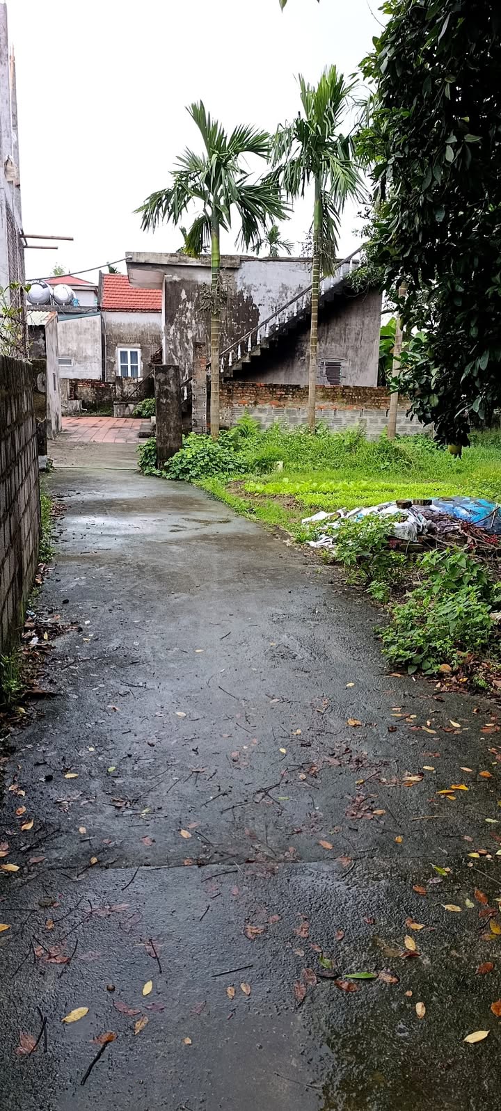 Đất nền Đồn Xá, Bình Mỹ 437m² chỉ 1 tỷ - Pháp lý rõ ràng, ô tô vào tận nơi!