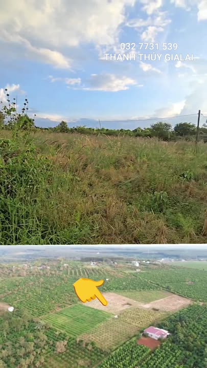 Đất vườn cà phê xã Bình Giáo, Chư Prông 1.6ha - Vị trí đắc địa, giá thỏa thuận!