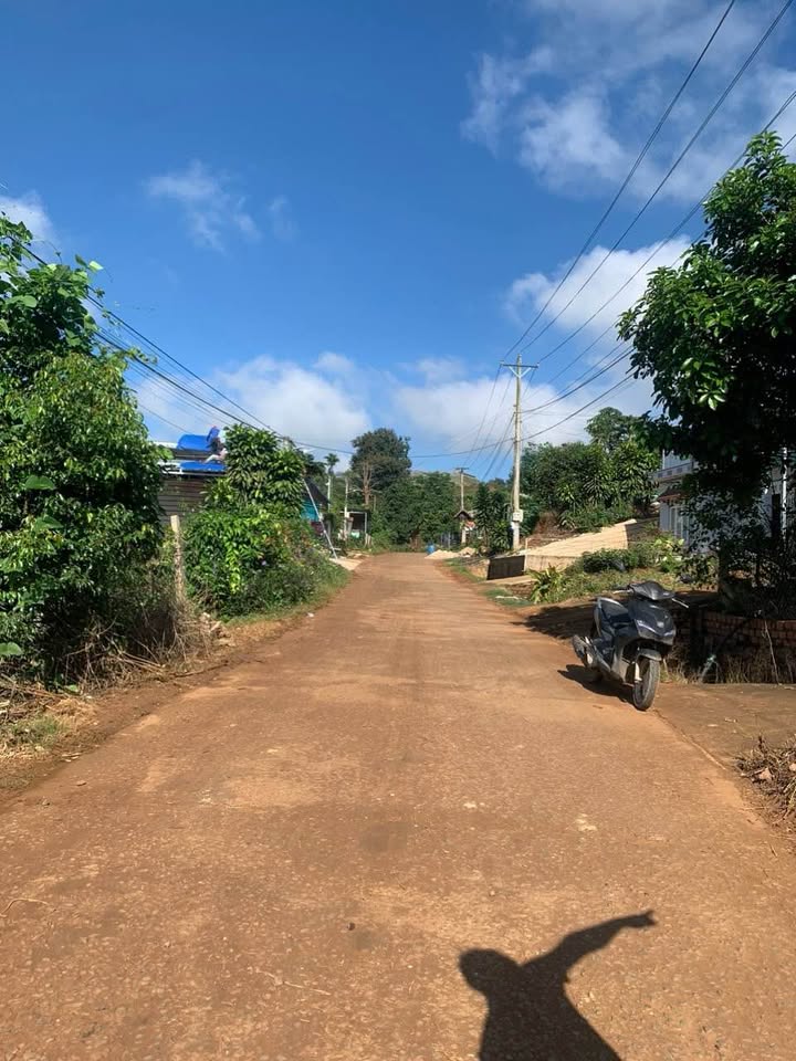 Đất nền Tân Hội, Đức Trọng 396m² giá 1.3 tỷ - Đường thông thuận tiện!