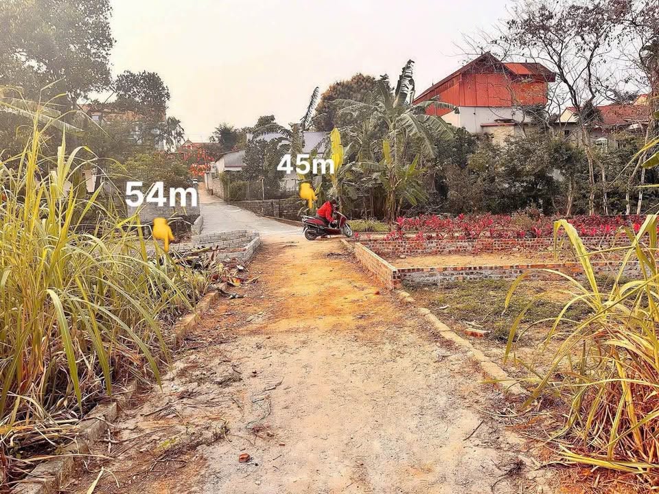 Đất Tích Giang Phúc Thọ 45m² giá 1 tỷ - Đầu tư tiềm năng ngay hôm nay!