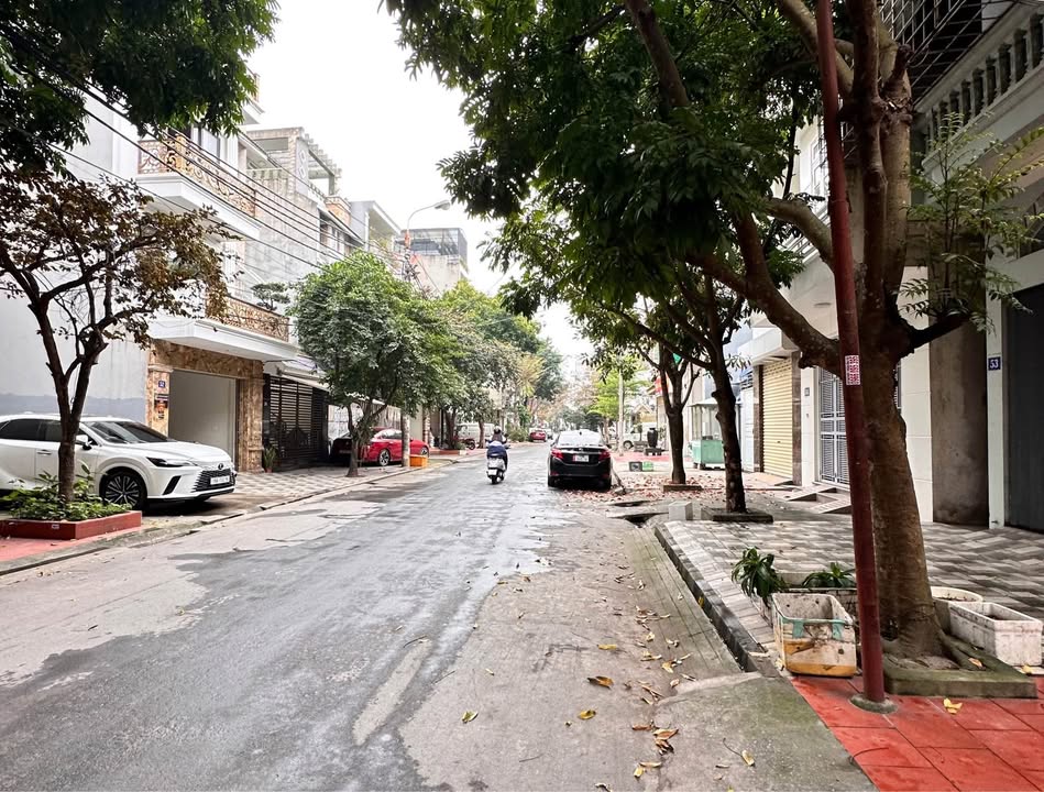 Đất nền Vĩnh Niệm 100m² giá chỉ 11.999 tỷ - Đầu tư lý tưởng cho khách sạn!