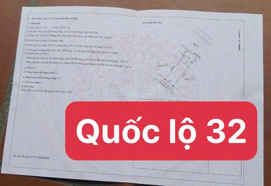 Đất nền Khu phố 10 Hương Nộn, Tam Nông, 192m² - Vị trí kinh doanh sầm uất!