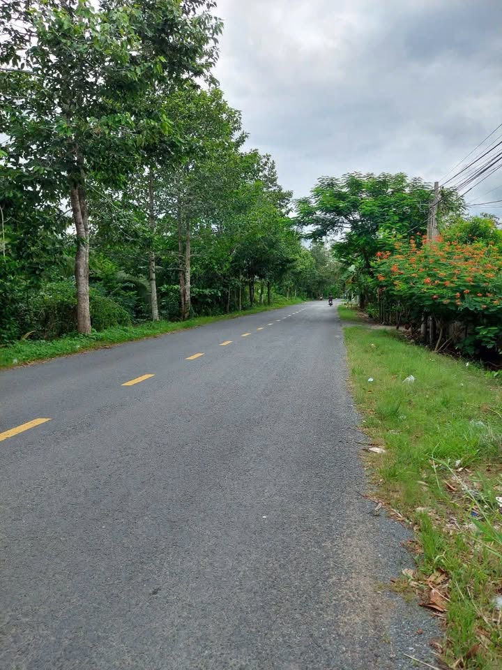 Đất mặt tiền đường Dx01, xã Hữu Định, huyện Châu Thành, 1200m² - Cơ hội đầu tư giá tốt!