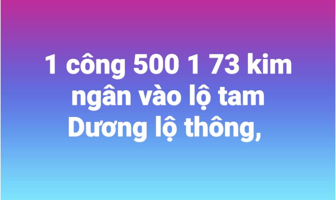 Đất nền xã Tường Đa, Châu Thành, Bến Tre 1000m² giá 500 triệu - Cơ hội đầu tư tuyệt vời!
