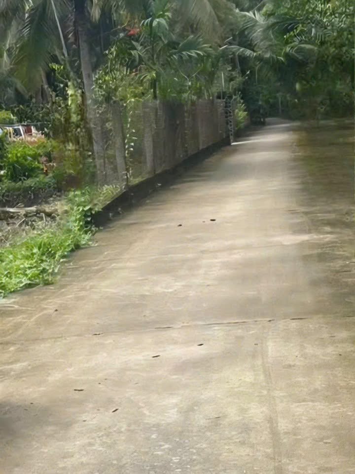 Đất thổ cư Phước Mỹ Trung 200m² giá 530 triệu - Đường rộng thuận tiện!