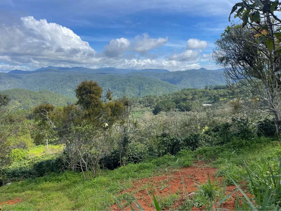 Đất nền 1100m² tại phường Xuân Trường, Đà Lạt chỉ 1.55 tỷ - Sổ đỏ chính chủ!