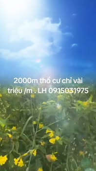 Đất thổ cư 2000m² đường 955B xã Lương Phi - Mặt tiền rộng 61m chỉ vài triệu/m²!