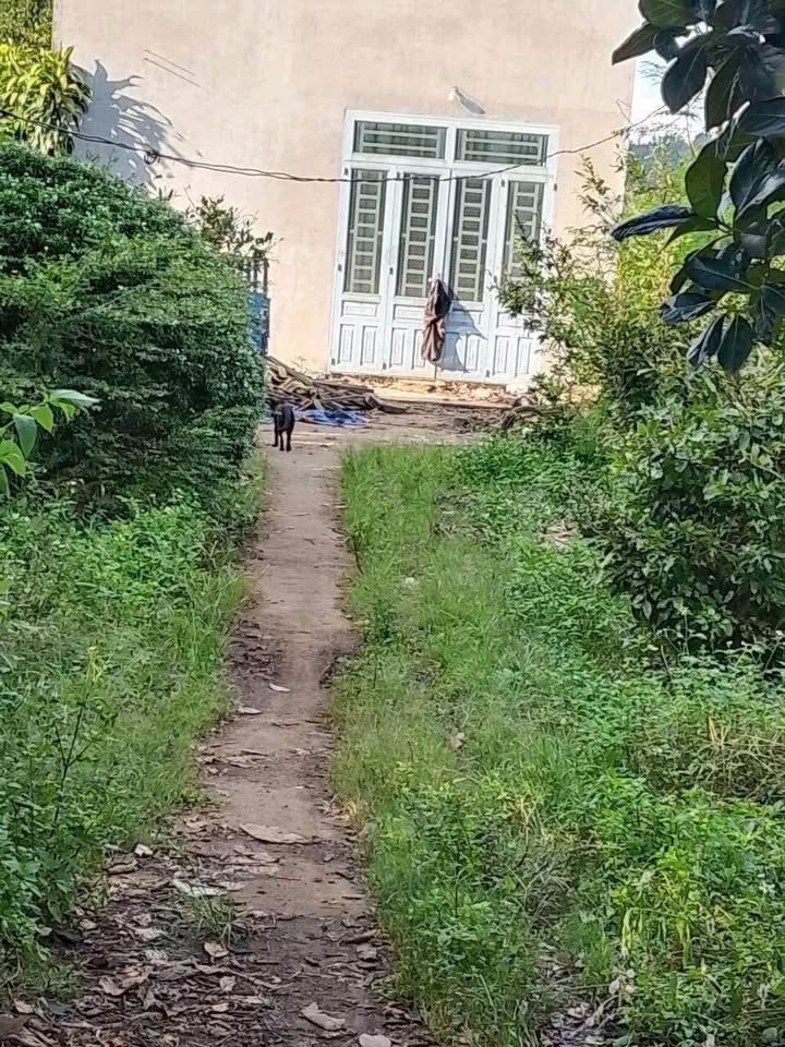 Đất Farm Phú Xuân Tân Phú 4000m² giá chỉ 1.3 tỷ - Đầu tư sinh lời hoặc nghỉ dưỡng lý tưởng!